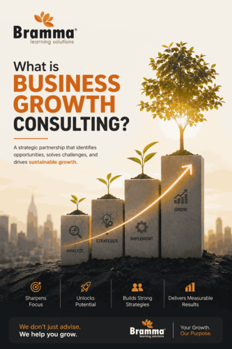Role of Business Growth Consultants